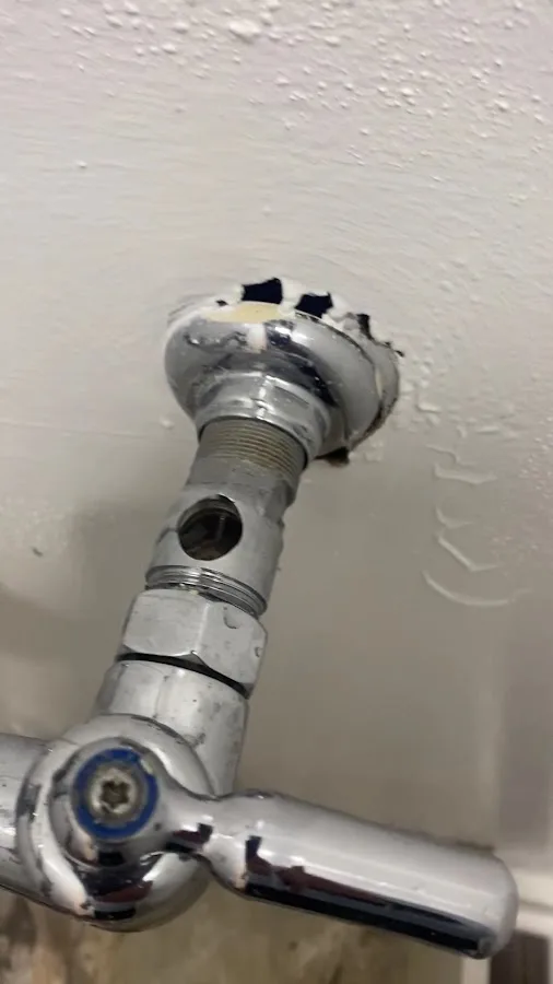 Drain Masters Plumbing