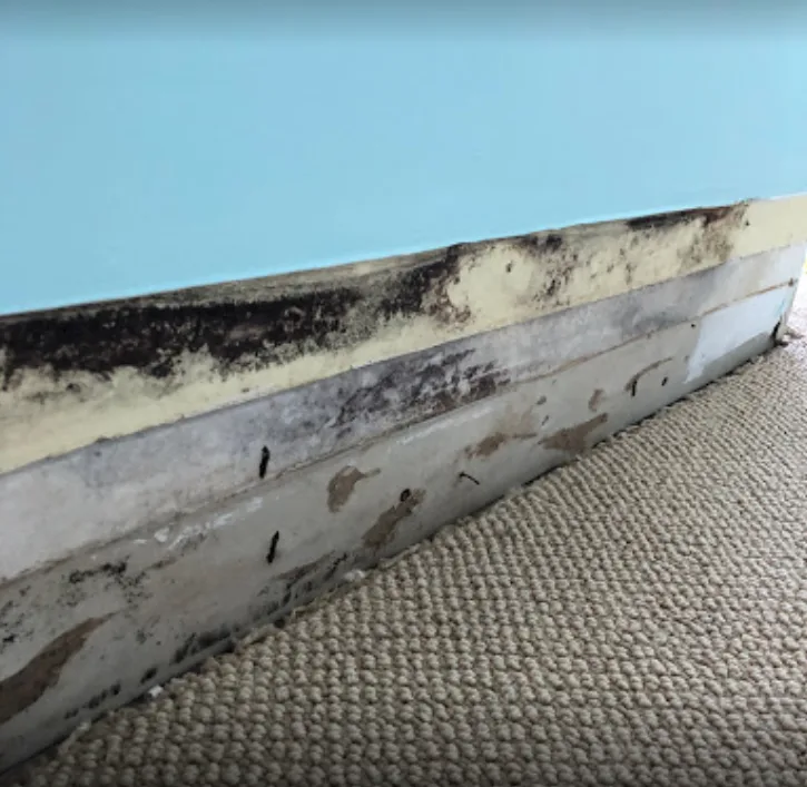 Irvine Plumbing & Drain