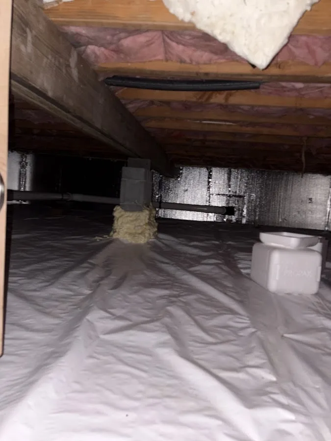 Lucky Day Plumbing, Inc.