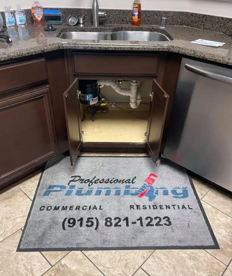 Professional Plumbing primary photo