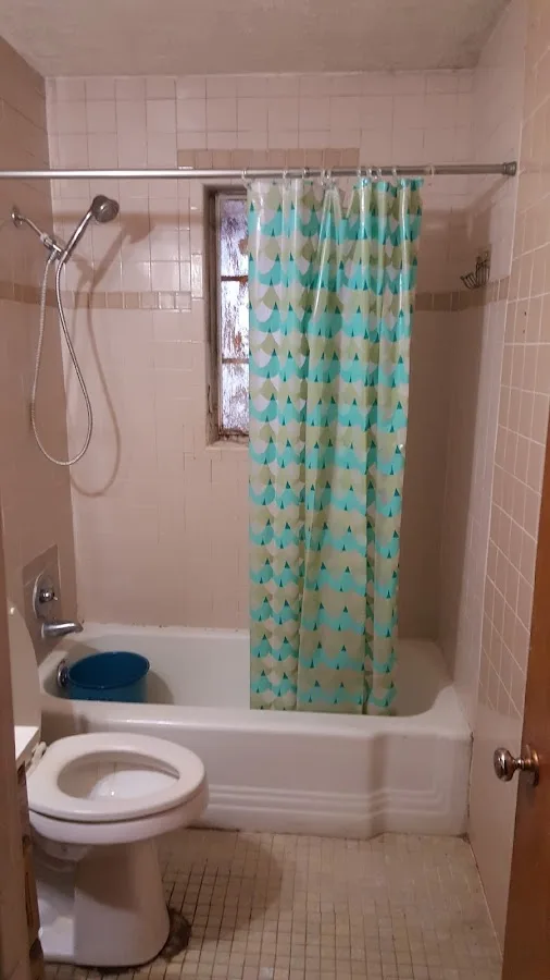 Professional Plumbing