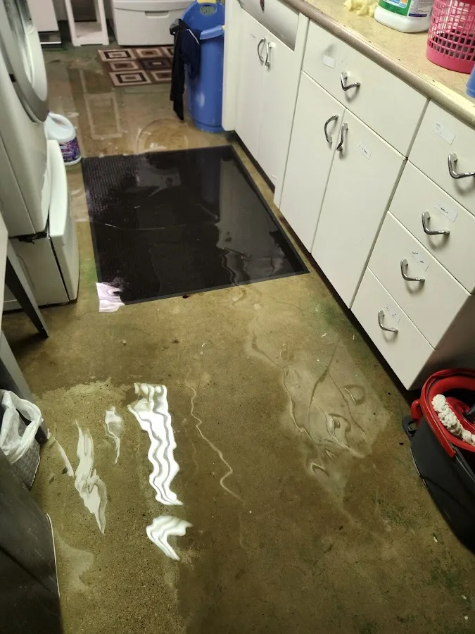 Roto-Rooter Plumbing, Drain, & Water Damage Cleanup Service
