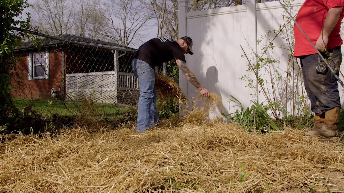 Roto-Rooter Plumbing & Water Cleanup