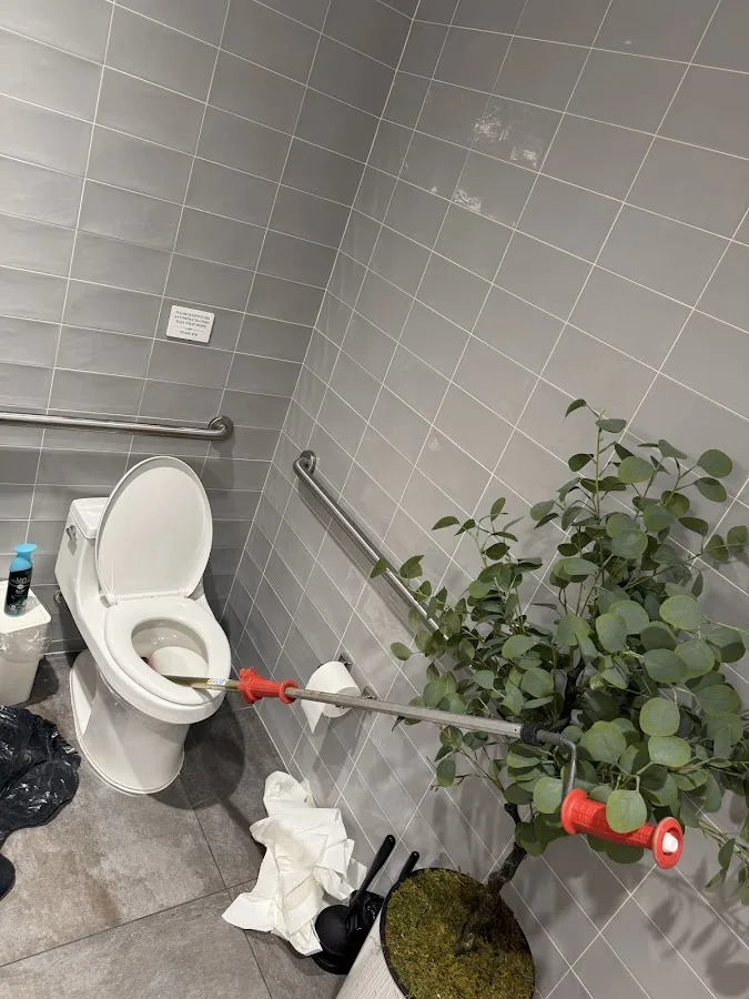 Royal Flush Affordable Plumbing