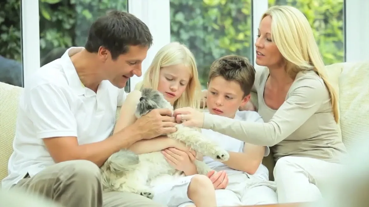 Service Emperor Heating, Air Conditioning, Plumbing, Electrical & More...