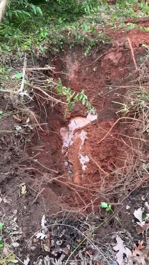 Superior Plumbing Services