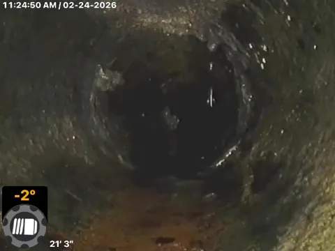 WorryFree Home Services